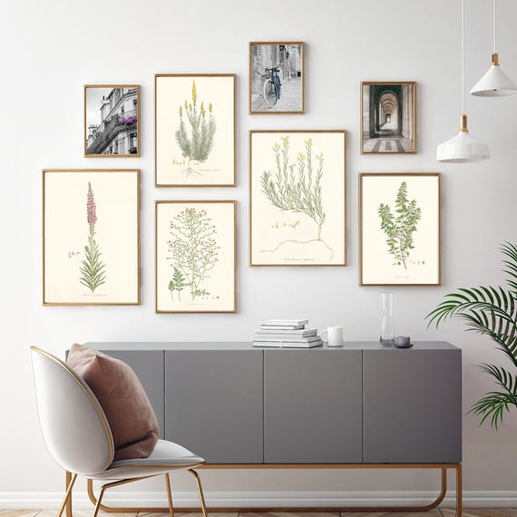Set of Five Vintage Botanical Art Prints, Vintage Modern Archival Wall Art Set, Botanical Wall Art Print Sets, 5 Nature Prints Decor