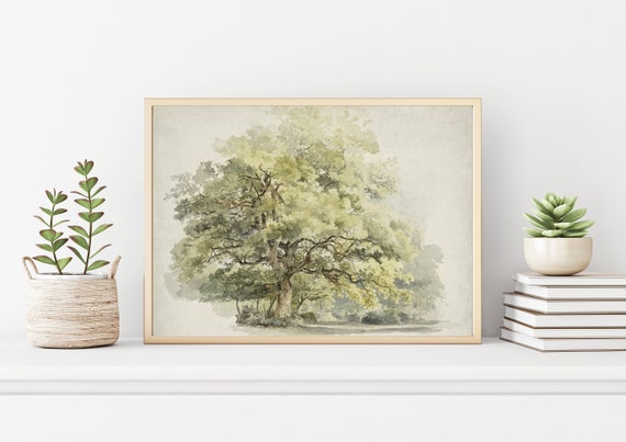 Archival Watercolor Print, Trees Botanical Art, Nature Wall Decor, Classic Vintage Image Print, George Andries Roth Art Prints