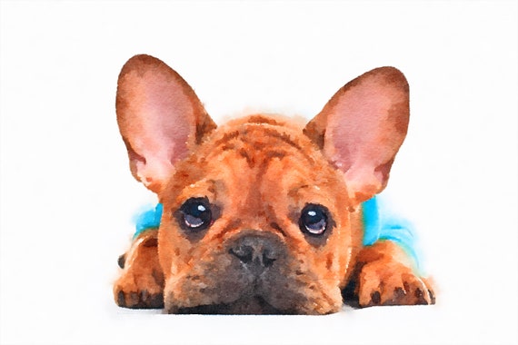 Custom Pet Portrait Watercolor Print, Dog Custom Gift, Personalized Gifts, Cat Personalized Portrait, Custom Print, Gifts, Kitten