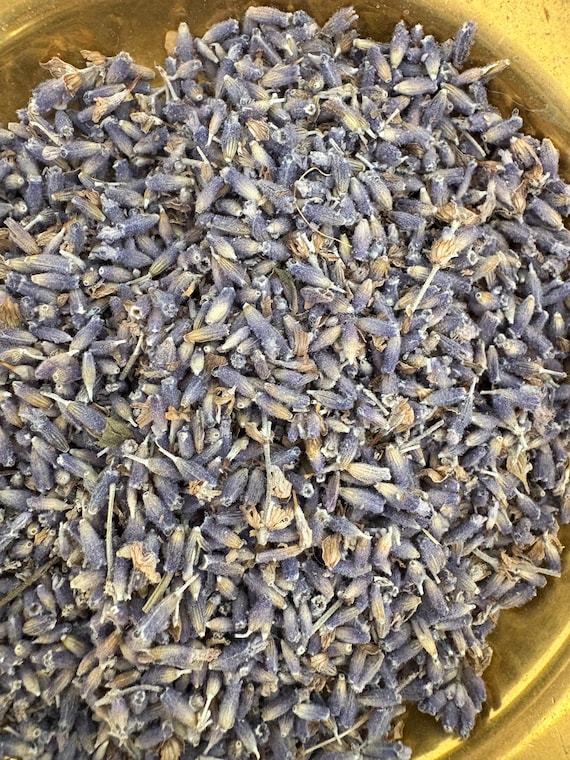 Dried Lavender Buds by the Ounce | Fragrant Culinary Grade | Natural Herb for Sachets, Crafts, Bath, Tea, Wedding Favors