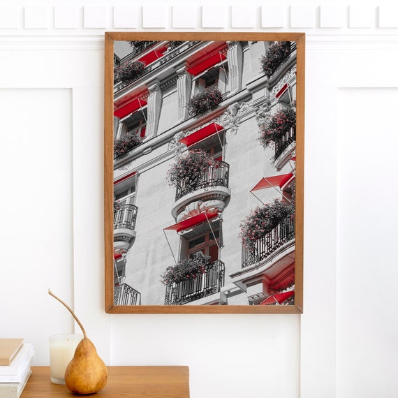 Paris Black and White Photograph Awning and Flowers, Architecture Red Flowers Wall Art Photography, French Wall Decor, Paris Art Prints