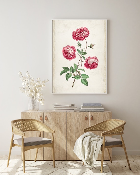 Vintage Floral Print, Provence Rose Botanical Flower Drawing Print, Archival Floral Decor Wall Art, Flower Prints, Antique Illustration