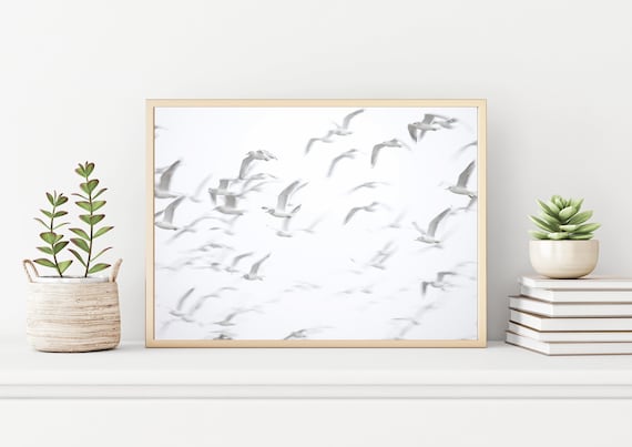 Minimalist Wall Art White Birds in Flight, Neutral White Grey Tones Archival Photograph, Coastal Modern Decor Art Prints Photography