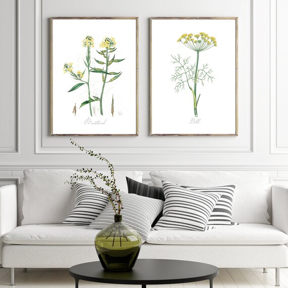 Antique Mustard Flower Botanical Print – Vintage Herbal Art Illustration, Archival Fine Art Poster on Matte Paper, Vintage Cottagecore