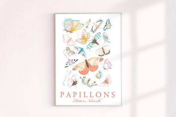 Vintage French Butterflies Wall Art Poster Print, Butterfly Large Format Posters, Parisian Home Decor Art Print, Modern French Style