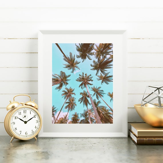 Tropical Palm Tree Art Photography Print, Modern Decor Wall Art, Botanical Plants Photography Gallery Nature Trees Wall Decor