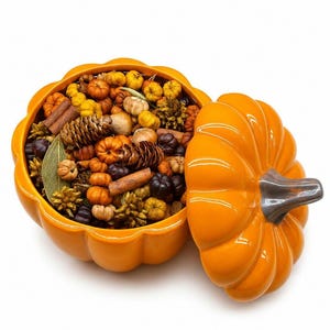Ceramic Pumpkin with Lid & Lumpkin Pumpkin Potpourri | Fall Home Decor | Autumn Pumpkin Centerpiece