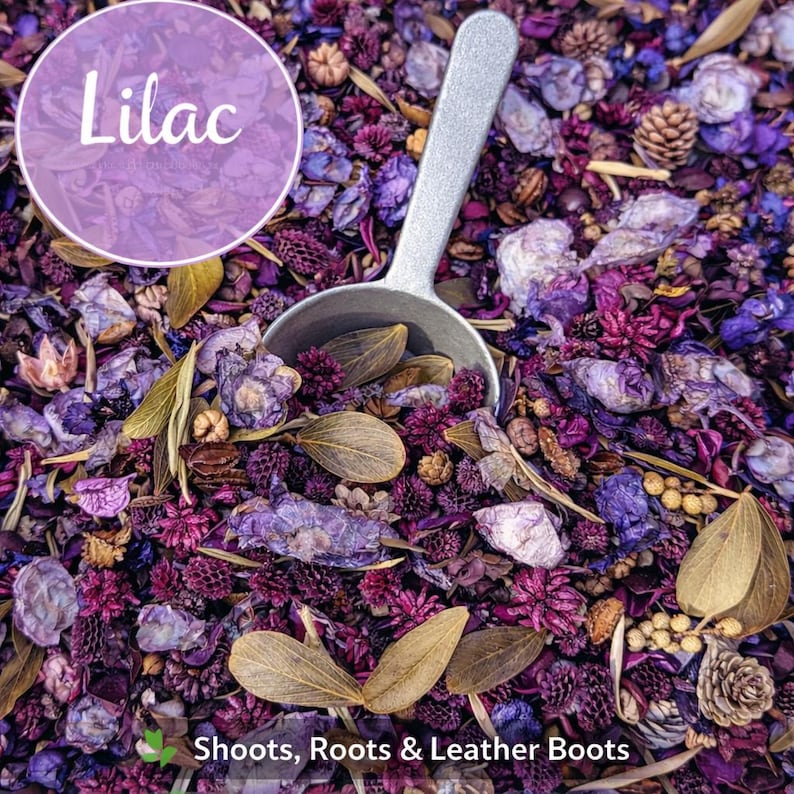 May include: A close-up shot of a mix of dried flowers and botanicals in shades of purple, lilac, and brown. A silver scoop is partially inserted into the mix. The word "Lilac" is in a purple circle, and the text "Shoots, Roots & Leather Boots" is at the bottom.