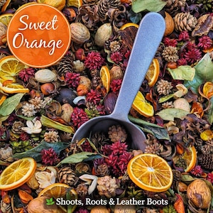 May include: A close-up of a mix of dried botanicals, including orange slices, pine cones, and red flowers. A silver scoop is partially visible. The text "Sweet Orange" is in an orange circle. The text "Shoots, Roots & Leather Boots" is at the bottom.