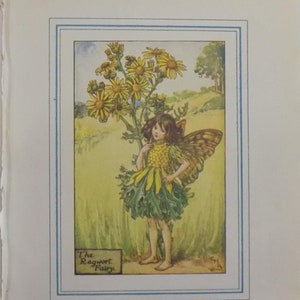 FREE SHIPPING!!!! Flower Fairies, Ragwort Fairy, Cicely Mary Barker, Vintage