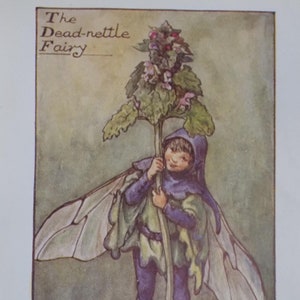 FREE SHIPPING!!!! Flower Fairies, Greater Dead-nettle Fairy, Cicely Mary Barker, Vintage