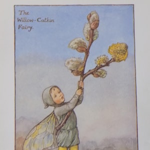 FREE SHIPPING!!!! Flower Fairies, Willow-Catkin Fairy , Cicely Mary Barker, Vintage