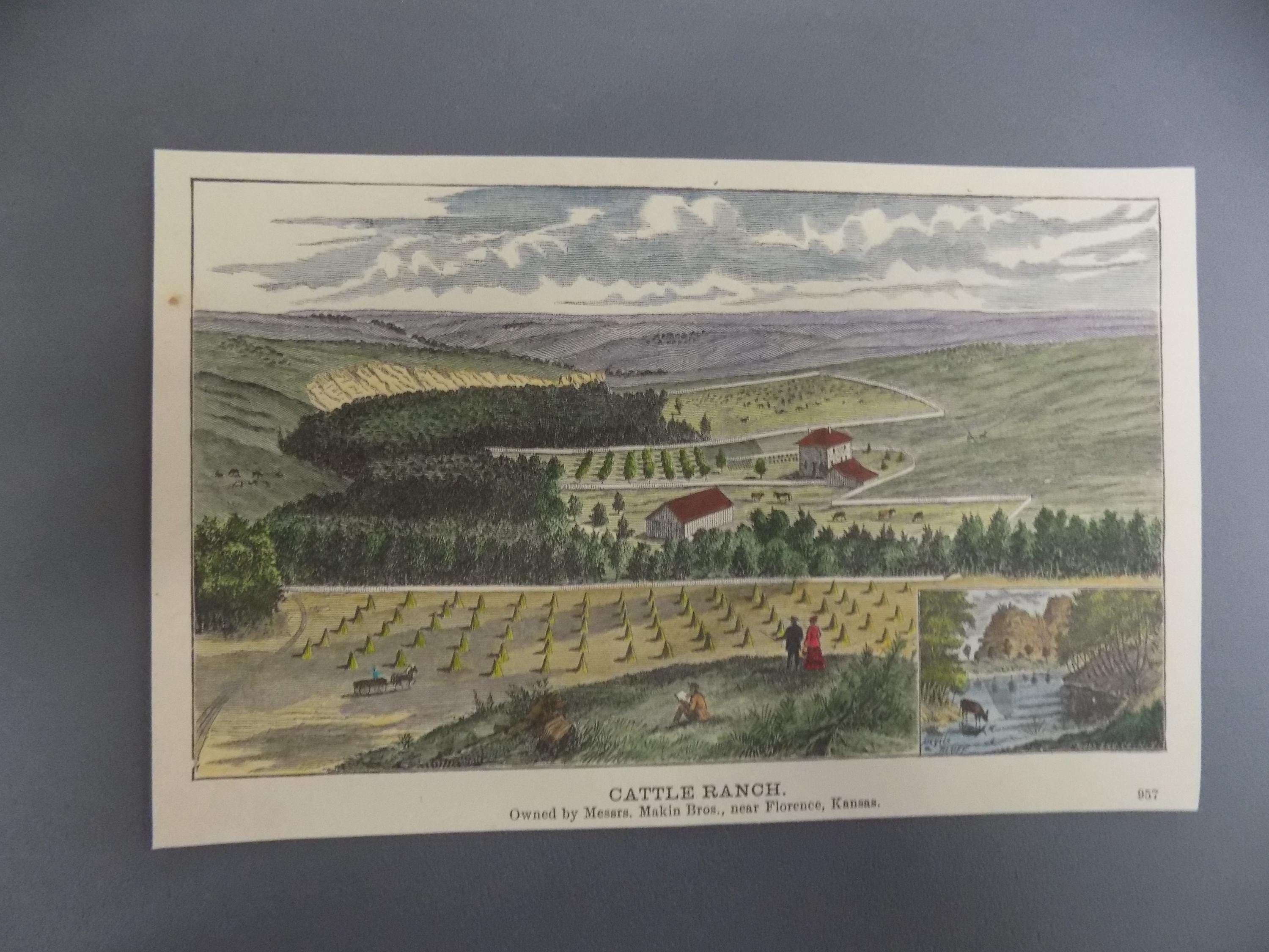 逸品　絵合わせ札35枚　木版画　縁結び縁切り　男女　江戸　和骨董　アンティーク Set of Three Japanese Flower Art Prints / Art / Botanical