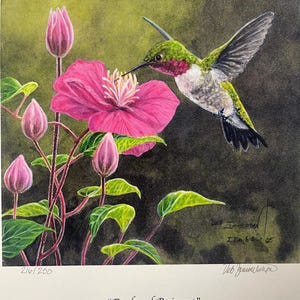 May include: A vibrant watercolor print of a hummingbird hovering near a pink flower. The bird has green, red, and white feathers. The flower is surrounded by green leaves and pink buds. The print is titled "Food and Raiment" by Deb Zimmerman.