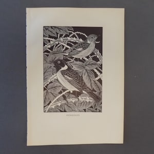 May include: Black and white woodcut print of two birds perched on a thorny branch. The birds are detailed and have a realistic appearance. The print is titled "Woodpecker".