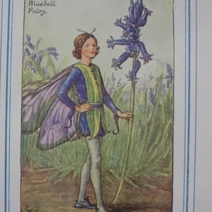 FREE SHIPPING!!!! Flower Fairies, Bluebell Fairy, Cicely Mary Barker, Vintage