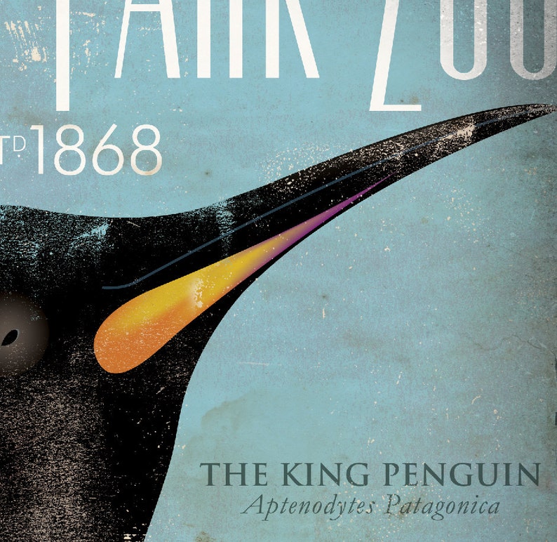 The King Penguin Lincoln Park Zoo Chicago vintage style artwork on canvas by stephen fowler image 3