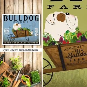buldog, buldog angielski, pies, farma, rolnik, targowisko, ogród, ogrodnik, ogród ziołowy Wydruk bez ramki, fowler