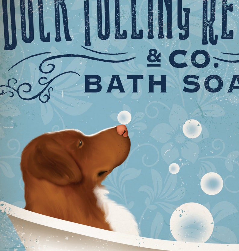 Nova Scotia Duck Tolling Retriever dog bath soap Company vintage style artwork by Stephen Fowler Giclee Signed Print image 5