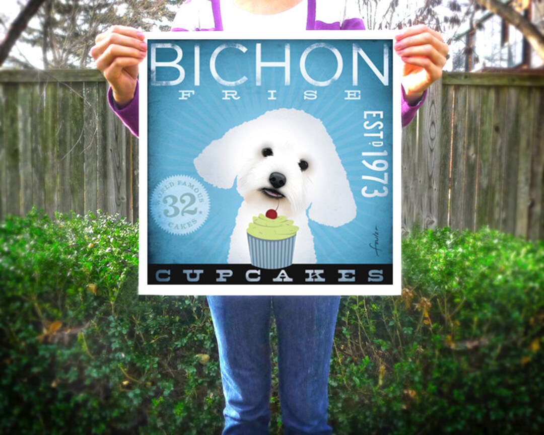 Bichon frise cupcakes top