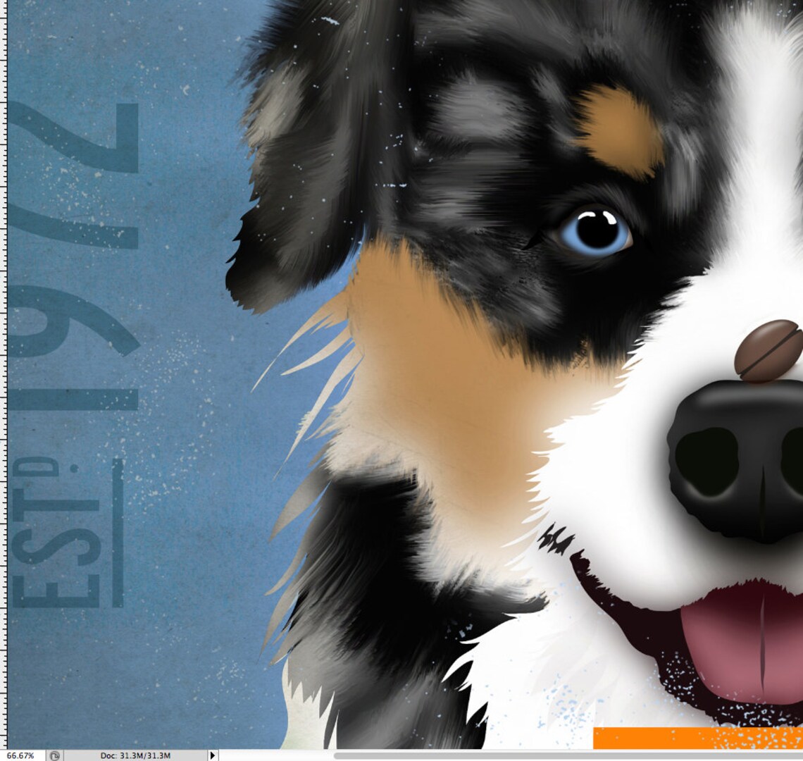 Australian Shepherd Coffee Company Giclee Archival Print Etsy