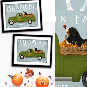 May include: Two framed prints featuring a green vintage truck filled with pumpkins and a Bernese Mountain Dog. The top print reads "Bernese Pumpkin Farm" and the bottom print reads "Thomas Pumpkin Farm". Both prints have the text "You Pick 'Em".