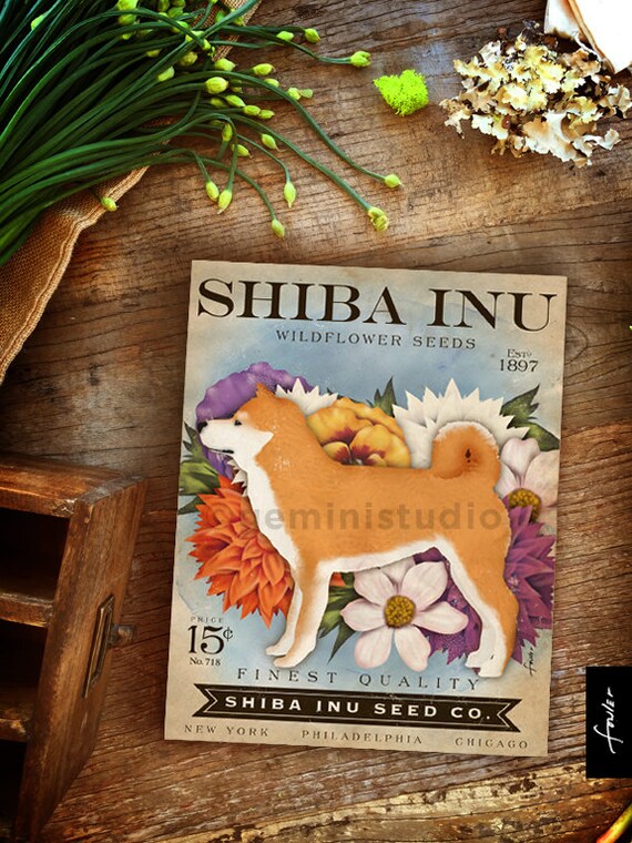 Shiba Inu Seed Company Dog Seed Packet Artwork On Gallery Etsy