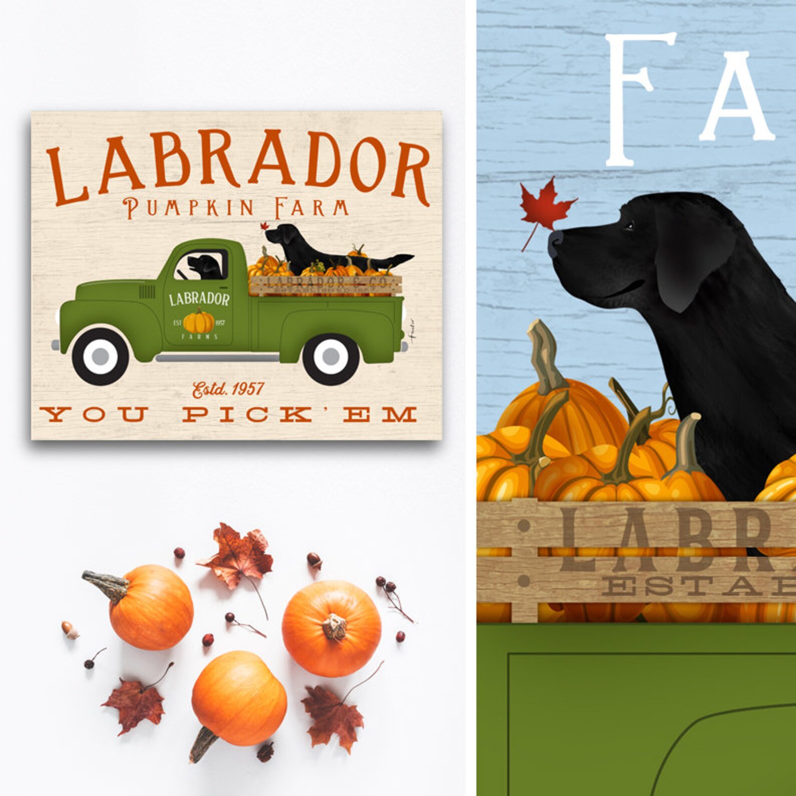 Lab labrador black lab dog pumpkins pumpkin fall Etsy