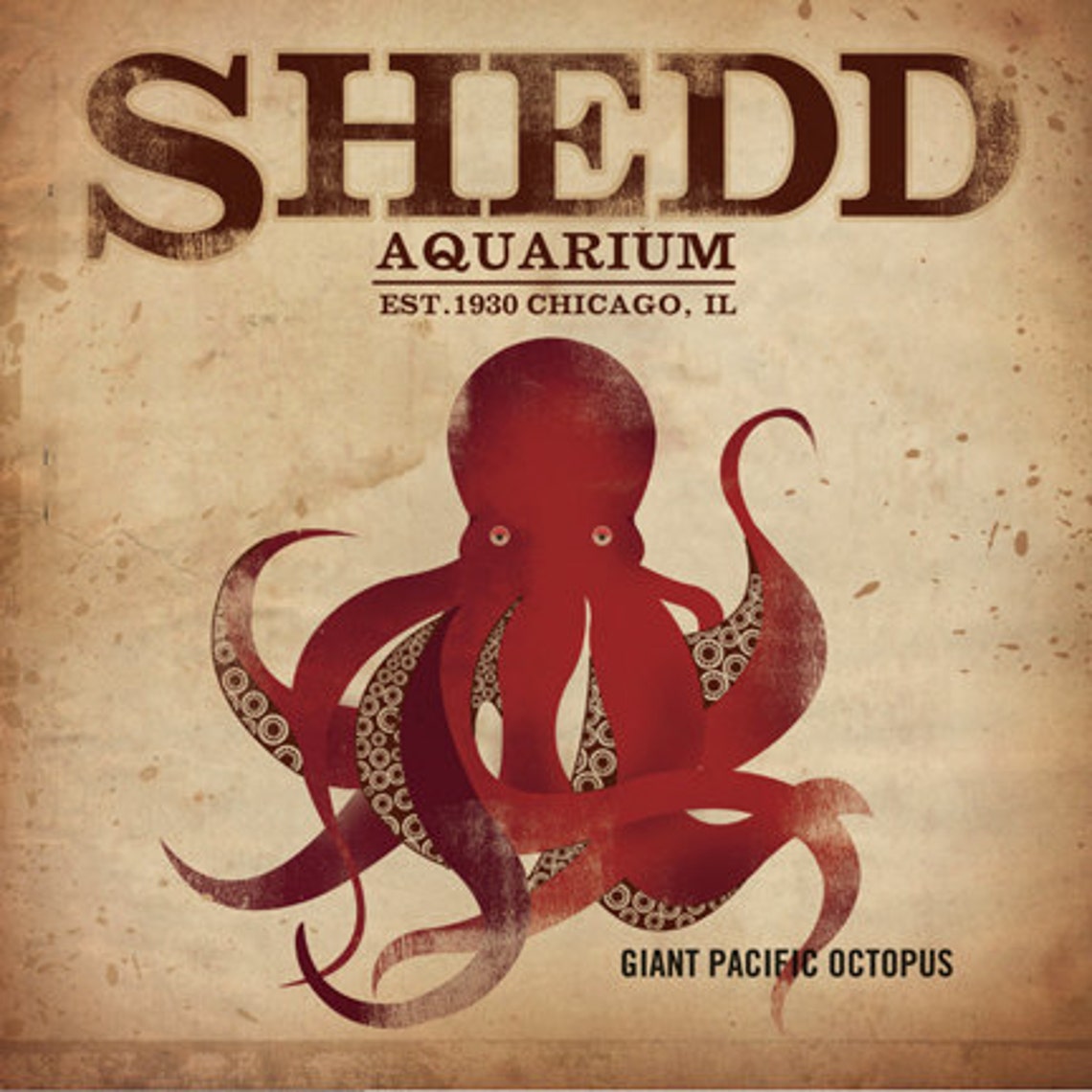 Shedd Aquarium Chicago Octopus original Grafik Illustration Etsy