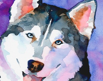 Siberian Husky Art Print of Original Watercolor Painting - 11x14