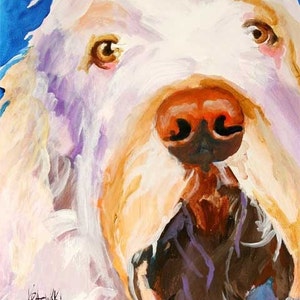 Italian Spinone Art Print of Original Acrylic Painting 11x14 image 1