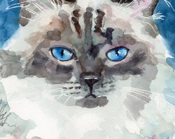 Himalayan Cat Art Print of Original Acrylic Painting, Picture, Poster,  8x10