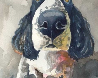English Springer Spaniel Dog Art Print of Original Watercolor Painting - 11x14