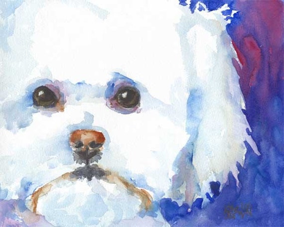 Bichon Frise Dog Original Art Print 8x10 Matted to 11x14