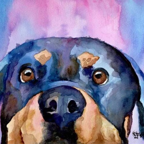 Rottweiler Art Print of Original Watercolor Painting 8x10 Etsy