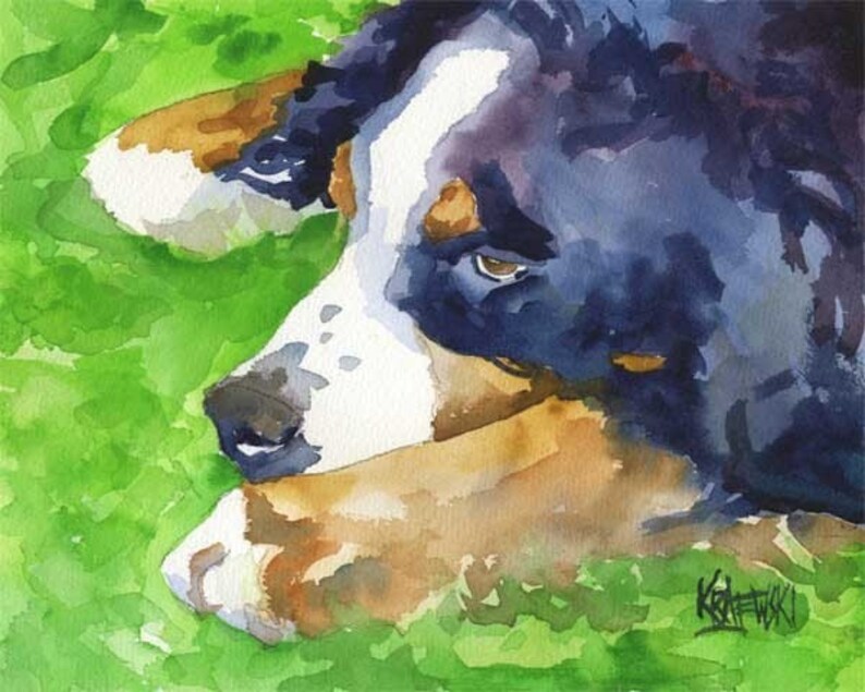 Bernese Mountain Dog Art Print of Original Watercolor Painting 11x14 image 1