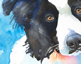 Border Collie Art Print of Original Watercolor Painting - 8x10 Dog Art