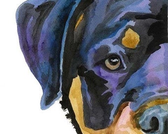 Rottweiler Art Print of Original Watercolor Painting - 11x14 Dog Art