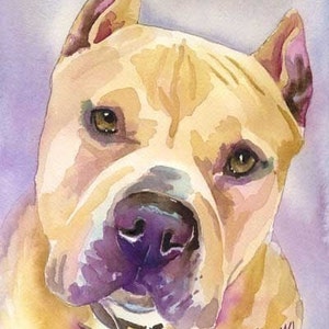 Pitbull Terrier Art Print of Original Watercolor Painting 8x10" Dog Art