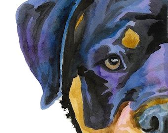 Rottweiler Art Print of Original Watercolor Painting - 8x10 Dog Art