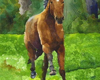 Bay Horse Running Art Print of Original Watercolor Painting 11x14