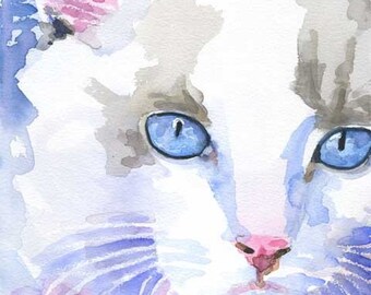 Ragdoll Cat Art Print of Original Watercolor Painting - 11x14