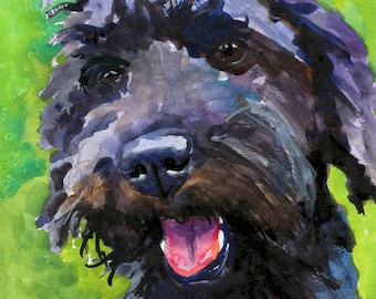 Schnoodle Art Print | Schnoodle Gifts for Men Women Mom Dad | Hand Signed by Ron Krajewski 8x10"