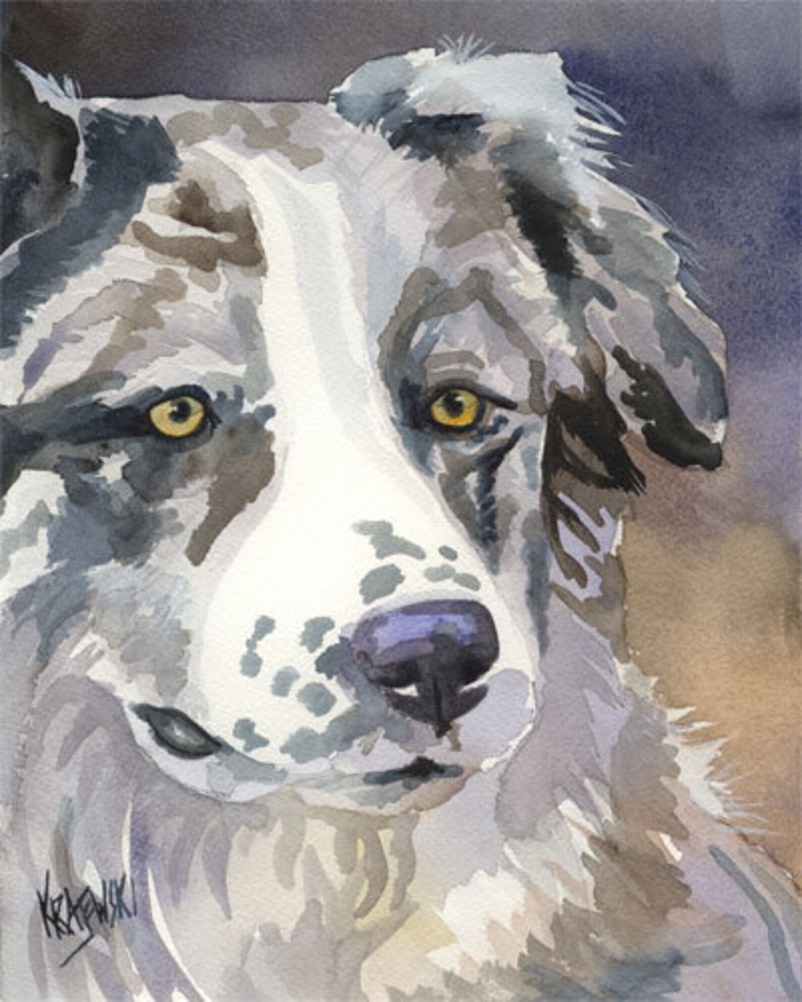 Australian Shepherd Art Print of Original Watercolor Painting Etsy
