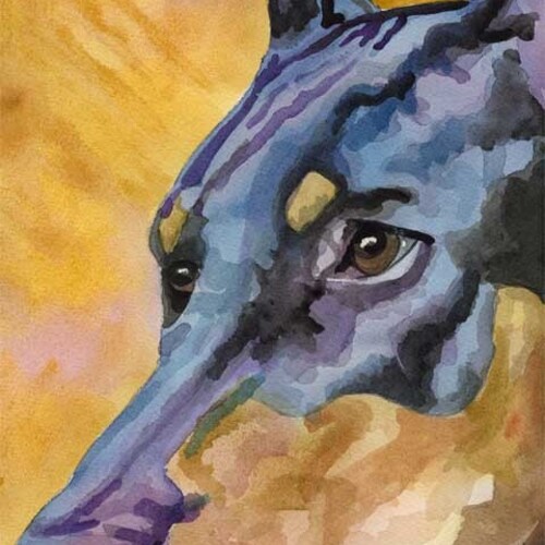 Doberman Pinscher Art Print of Original Watercolor Painting - 11x14