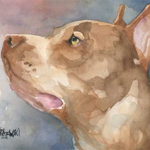 Pit Bull Art Print of Original Watercolor Painting 8x10 Pitbull Dog Art image 1