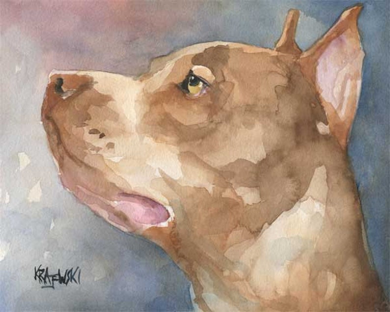 Pit Bull Art Print of Original Watercolor Painting 8x10 Pitbull Dog Art image 1