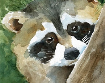 RACCOON Art Print of Original Watercolor Painting 8x10