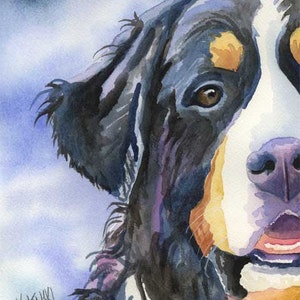 Bernese Mountain Dog Art Print of Original Watercolor Painting 8x10 image 1