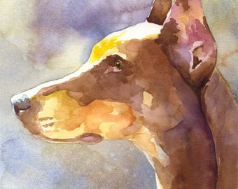 Doberman Pinscher Art Print of Original Watercolor Painting - 8x10